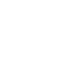 icon_policy